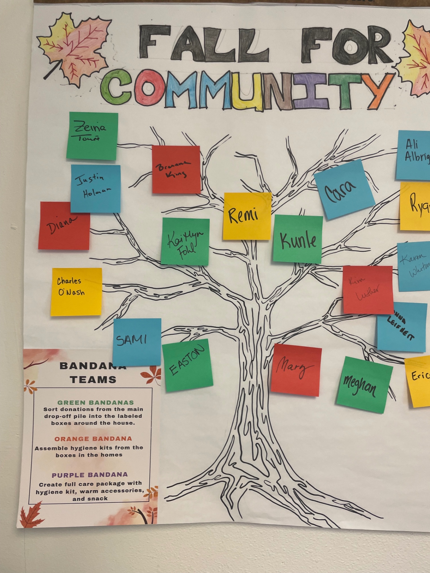 Close-up of the community tree poster and the bandana team instructions